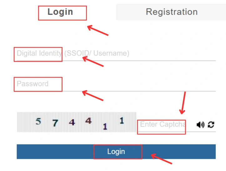 Click on the Login